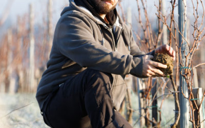 OUVRIER SAISONNIER – TRAVAUX EN VERT (H/F)