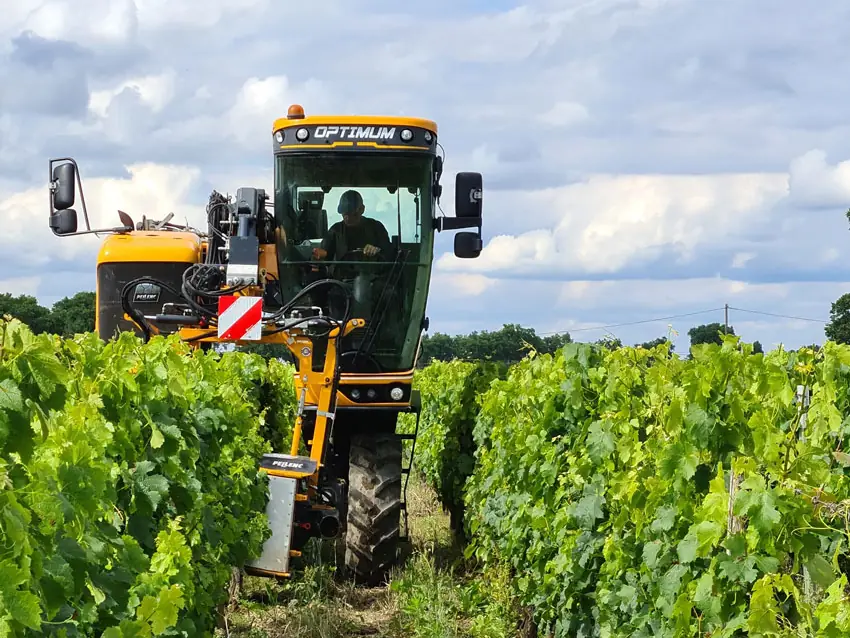 Enjambeur Pellenc Optimum de Laurent Giraud dans l'inter-rang pour un traitement de la vigne