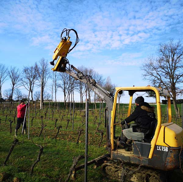 Équipe Laurent Giraud à l'œuvre dans la parcelle : entretien manuel de la vigne et pose de piquets