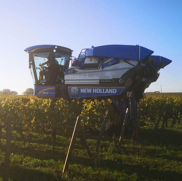 Machine à vendanger New Holland de Laurent Giraud dans les vignes — vendanges mécaniques en Gironde