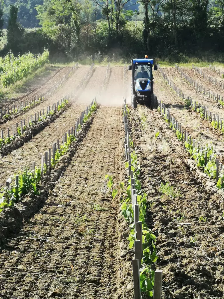 Prestation viticole mécanisée — Laurent Giraud, Gironde Machine viticole de Laurent Giraud en intervention dans les rangs de vigne