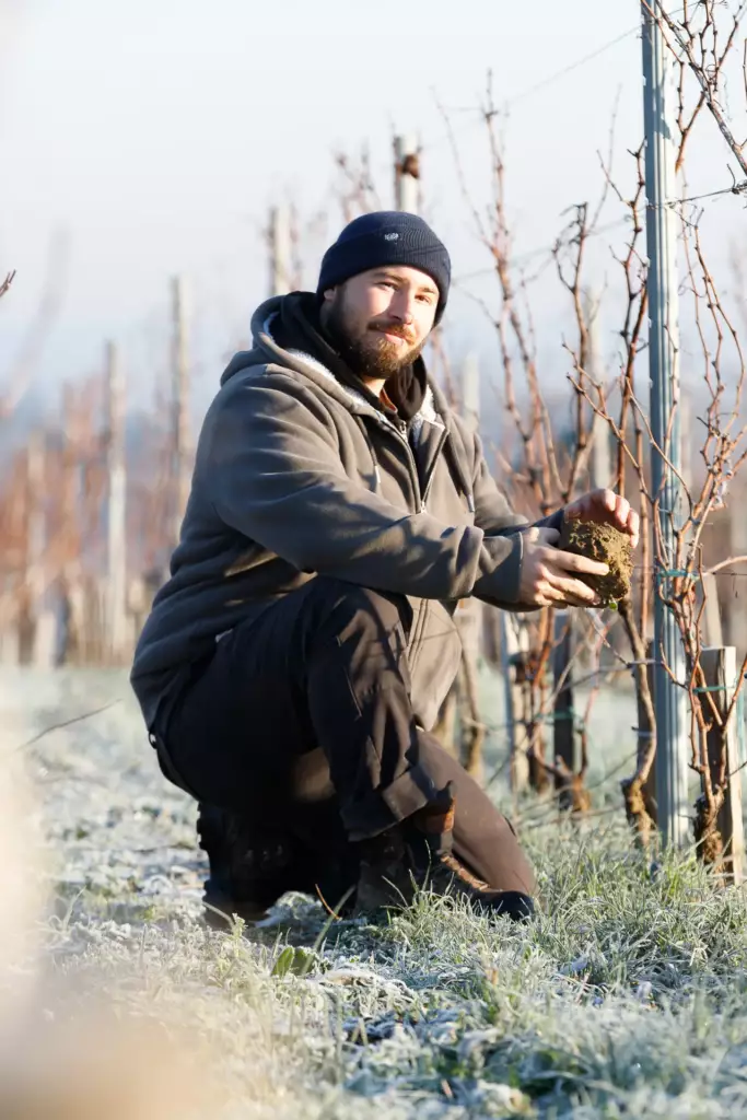 Ouvrier saisonnier de Laurent Giraud à la taille d'hiver de la vigne en Gironde